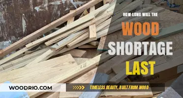 Timber Troubles: Predicting the Duration of the Current Wood Shortage