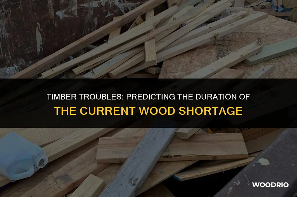 how long will the wood shortage last