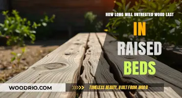 Durability of Untreated Wood in Raised Garden Beds: A Comprehensive Guide