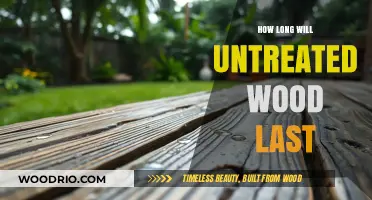 Durability of Untreated Wood: Factors Affecting Its Lifespan