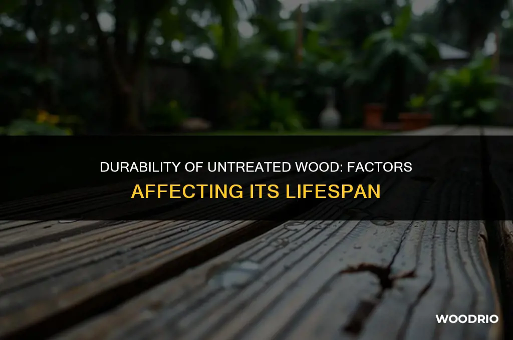 how long will untreated wood last