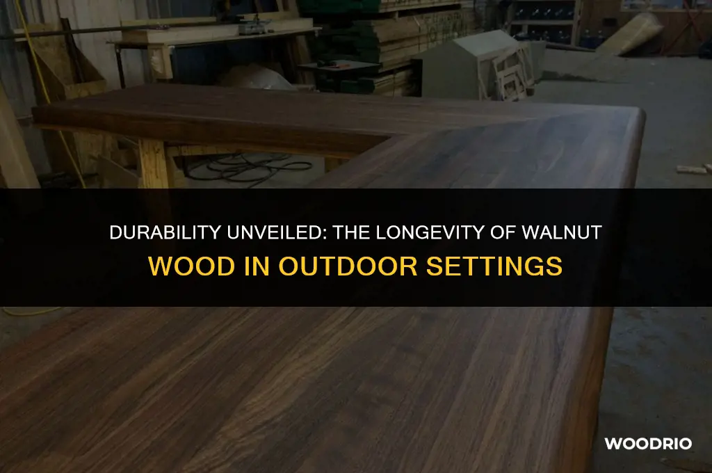 how long will walnut wood last outside