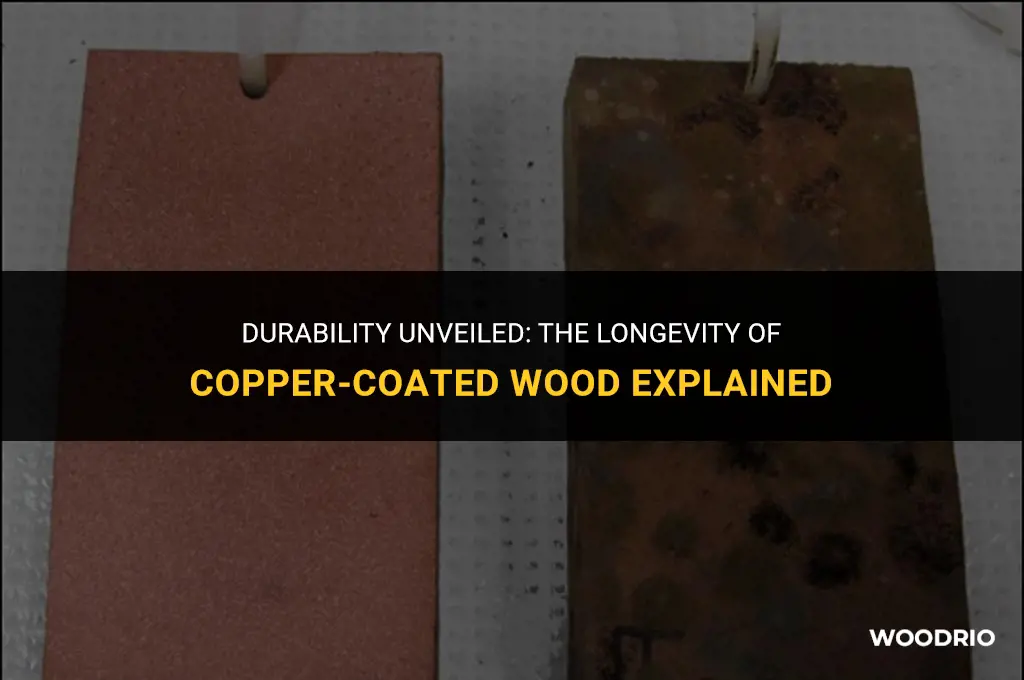 how long will wood last treated with copper coat