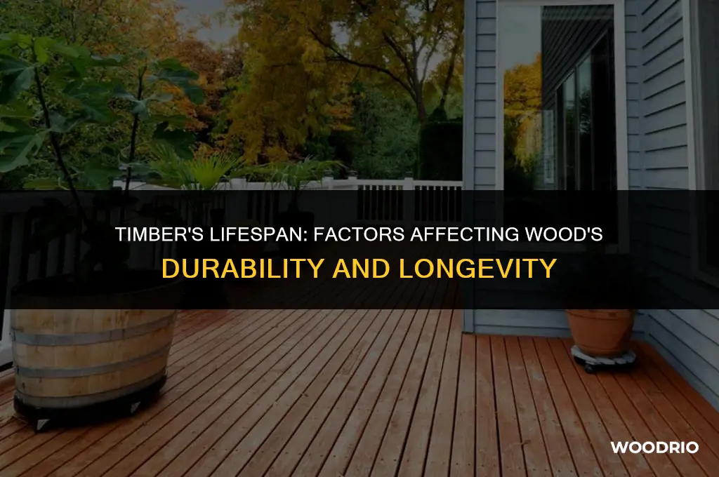 how long will wood last