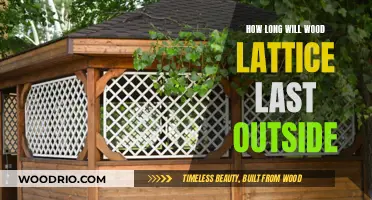 Durability Unveiled: The Lifespan of Wood Lattice in Outdoor Settings
