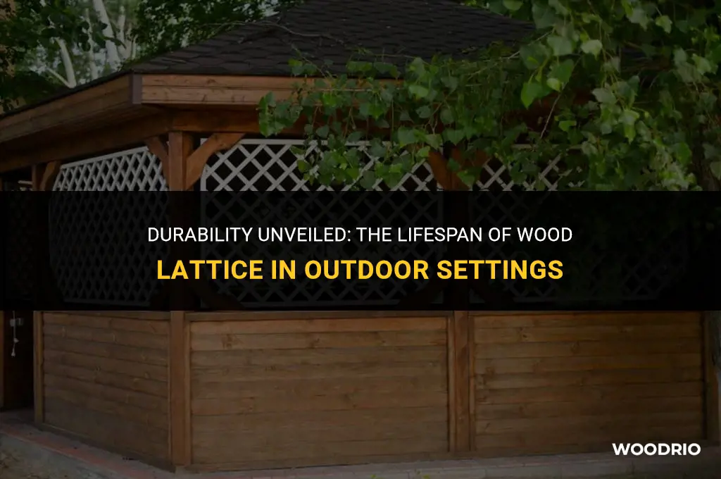 how long will wood lattice last outside