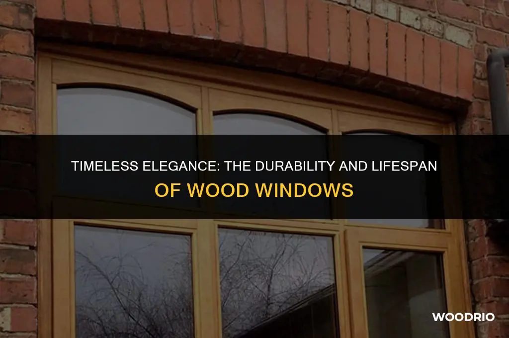 how long will wood windows last