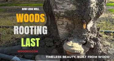 Understanding the Lifespan of Wood Rootings: A Comprehensive Guide
