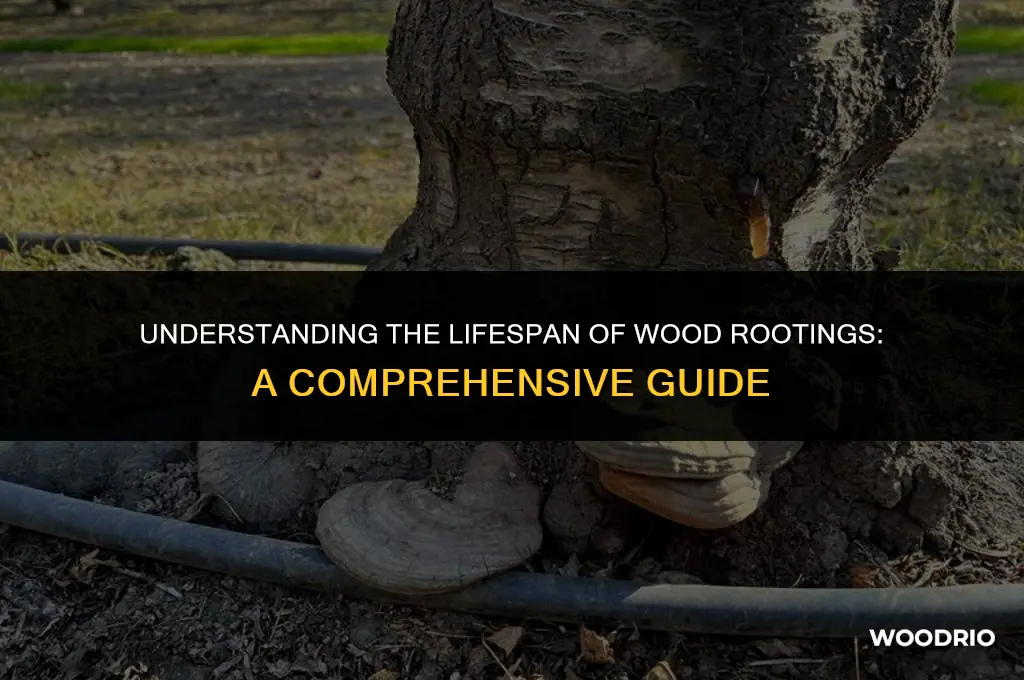 how long will woods rooting last