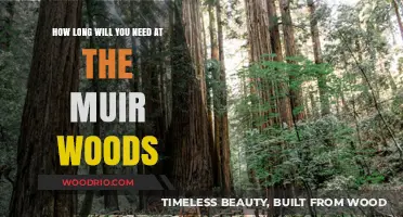 Exploring Muir Woods: A Guide to Your Perfect Visit Duration