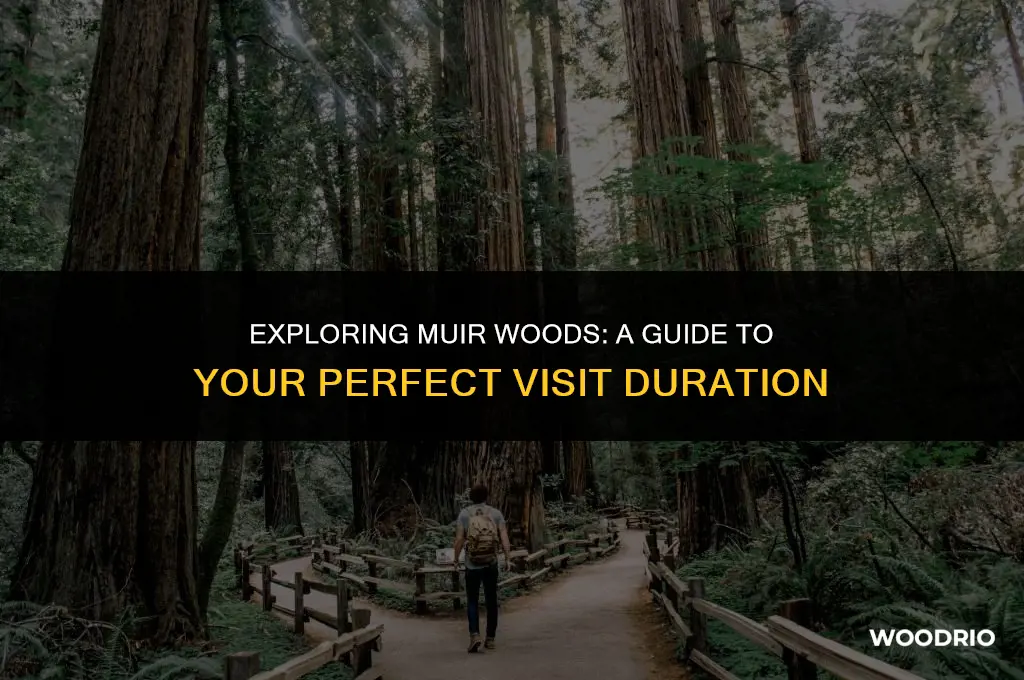 how long will you need at the muir woods
