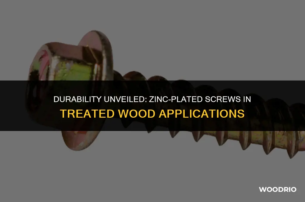 how long will zinc plated screws last in treated wood