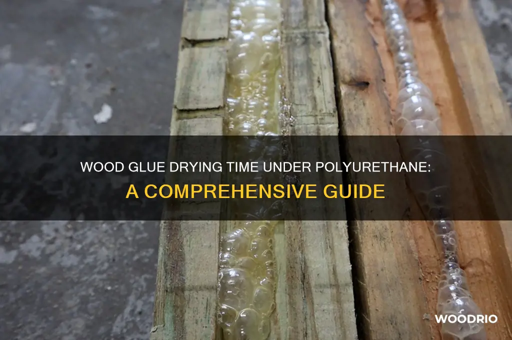 how long wood glue dry polyurithain