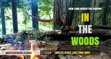 Surviving the Wild: How Long Could You Last in the Woods?