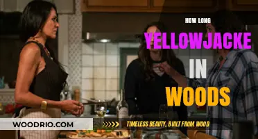 How Long Do Yellowjackets Stay Active in the Woods?