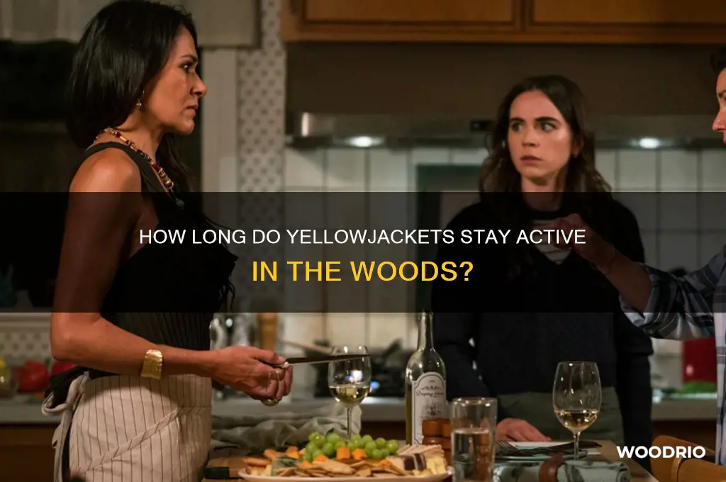 how long yellowjackets in woods