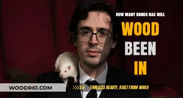 Exploring Will Wood's Musical Journey: A Band-by-Band Breakdown