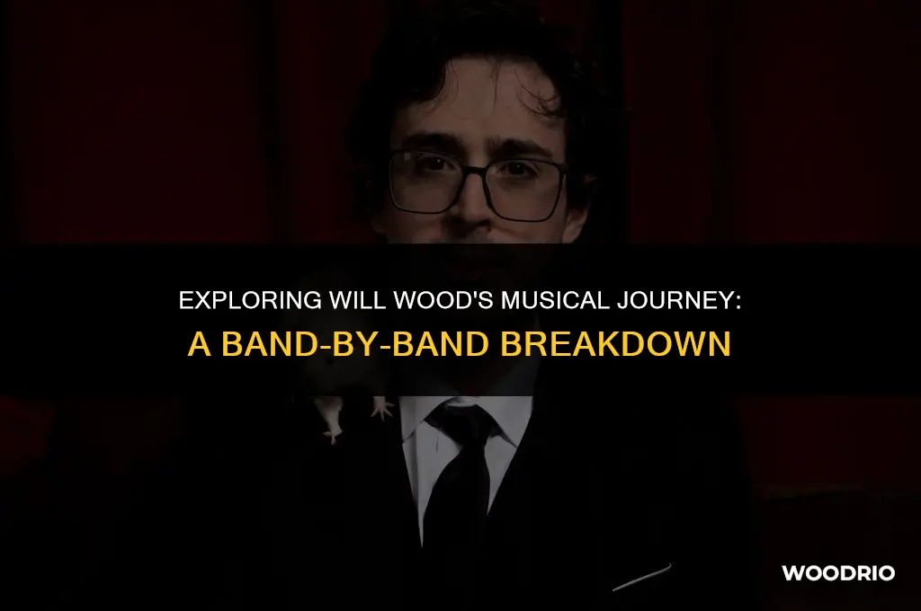 how many bands has will wood been in
