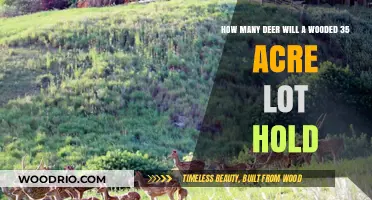 Sustainable Deer Population for a Wooded 35-Acre Lot: A Guide