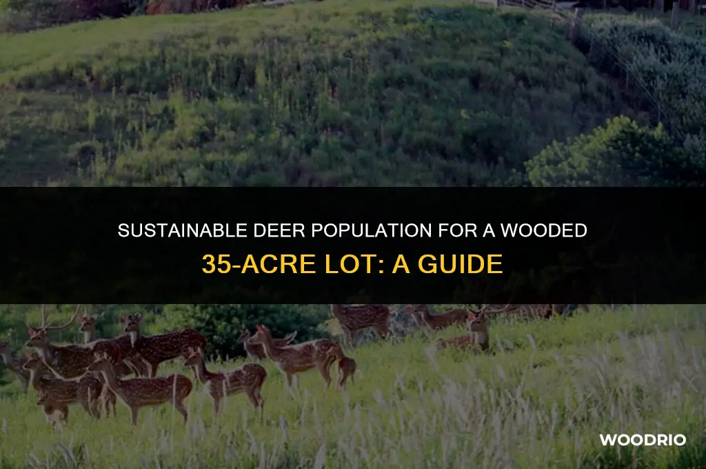 how many deer will a wooded 35 acre lot hold