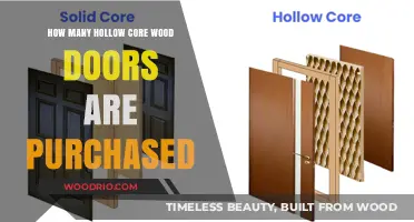 Exploring the Popularity of Hollow Core Wood Doors: A Market Insight