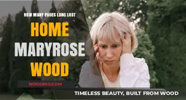 Long Lost Home by Maryrose Wood: Unveiling Its Page Count