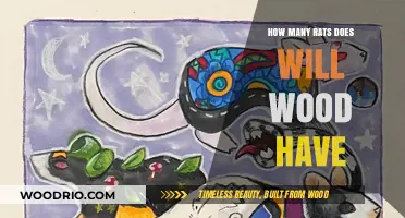 Exploring the Rodent Realm: A Peek into Will Wood's Rat Haven
