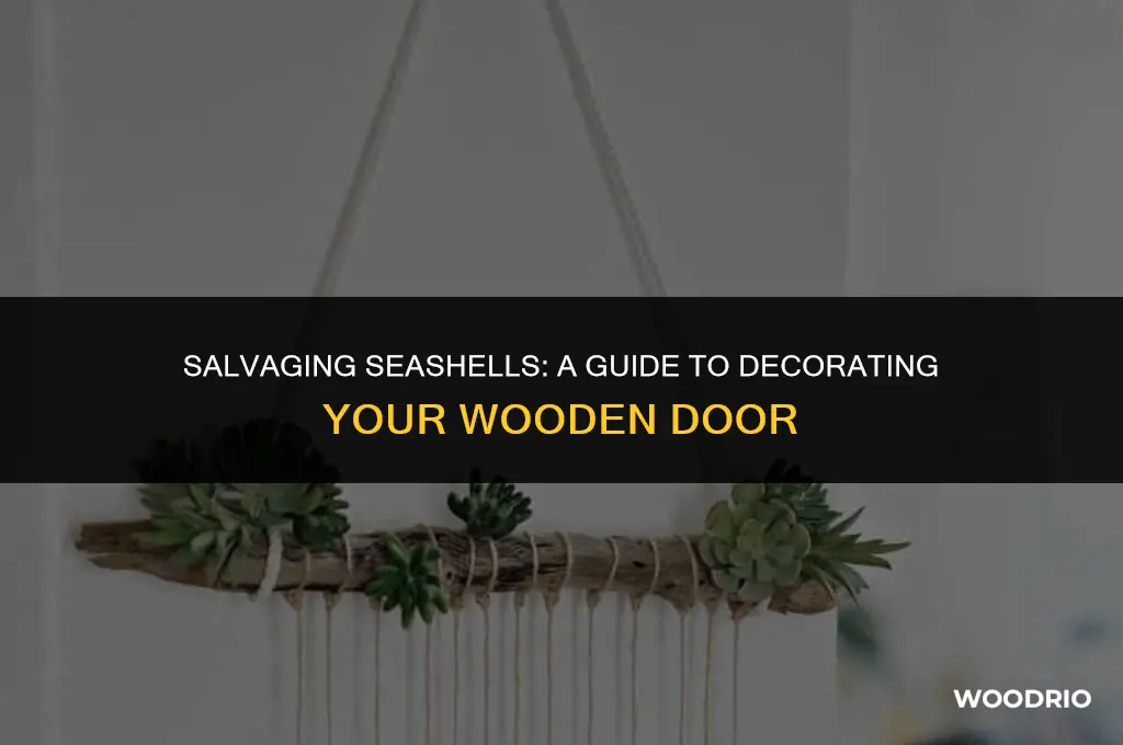 how many salavaged shells for wood door