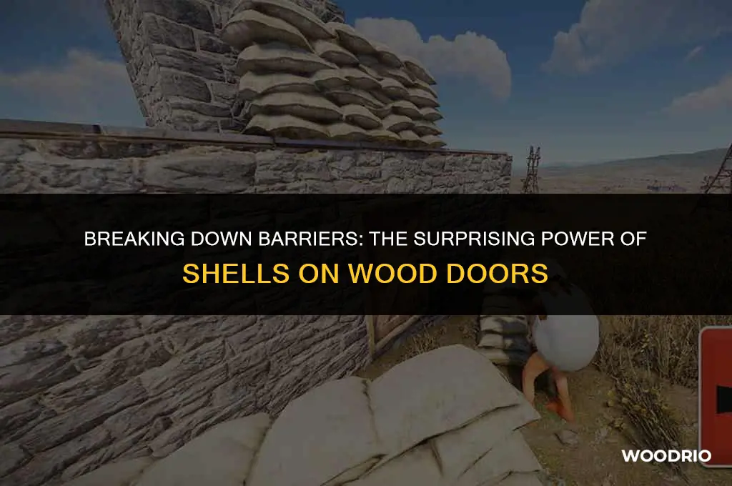 how many shells to break wood door