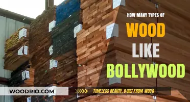 Exploring the Rich Variety of Wood Types Beyond Bollywood