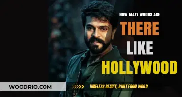 Exploring the Global Cinema Scene: Woods Beyond Hollywood