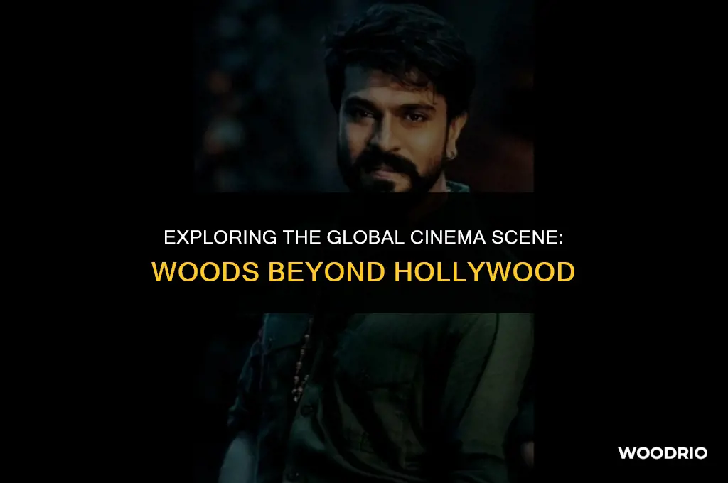 how many woods are there like hollywood