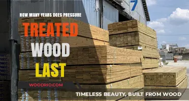 Durability Unveiled: The Lifespan of Pressure-Treated Wood Explained