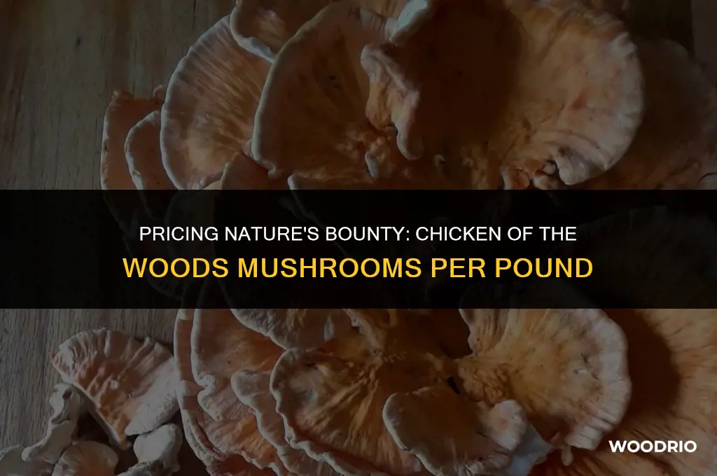how much a pound for chicken of the woods nushrooms