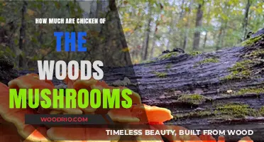 Exploring the Cost of Chicken of the Woods Mushrooms: A Comprehensive Guide