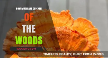 Exploring the Cost of Chicken of the Woods: A Comprehensive Guide