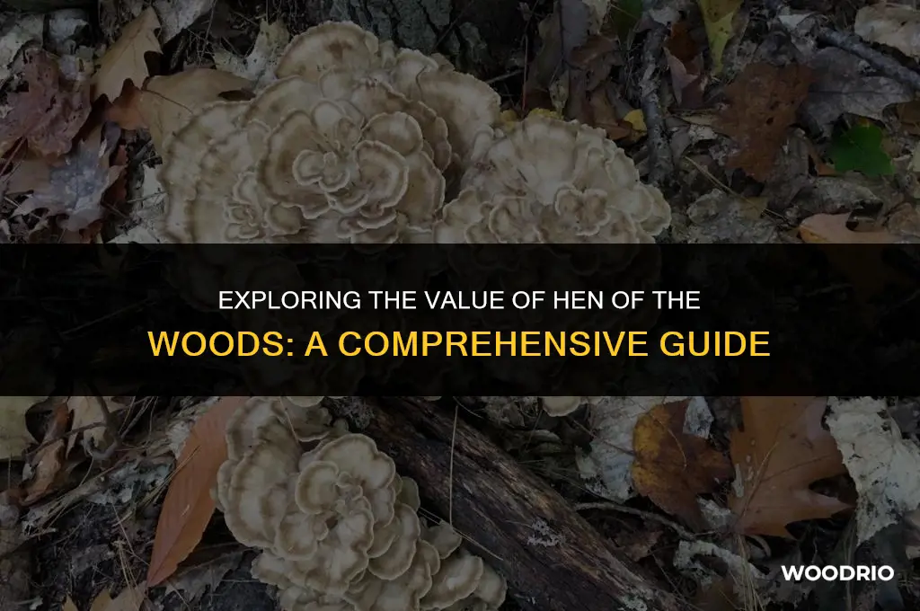 how much are hen of the woods worth