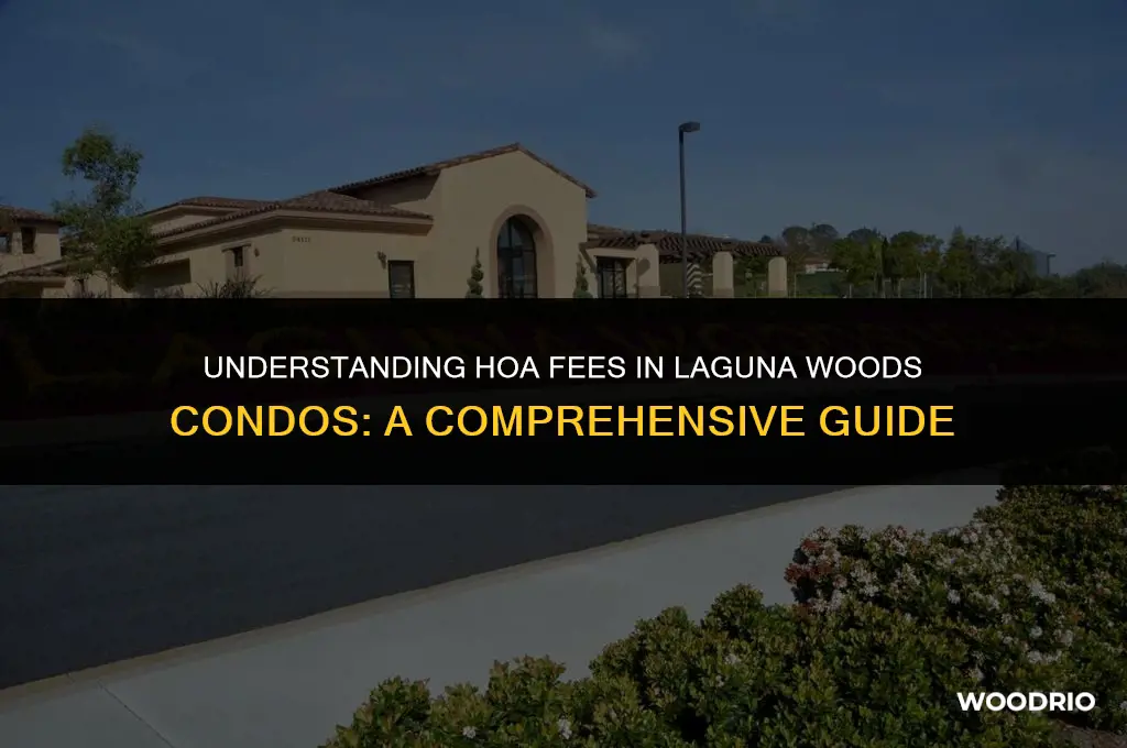 how much are hoa fees in laguna woods condos
