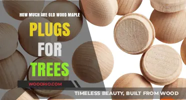 Reviving Trees: The Value and Cost of Old Wood Maple Plugs