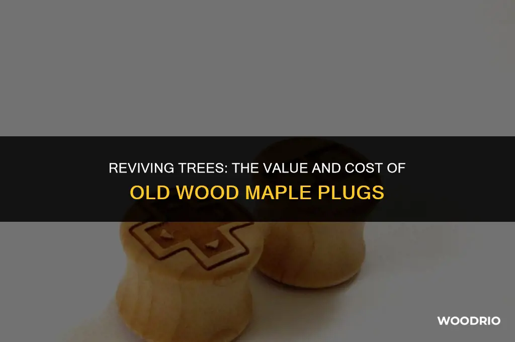 how much are old wood maple plugs for trees
