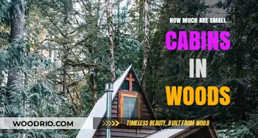 Escape to Nature: The Cost of Owning a Cozy Cabin Retreat