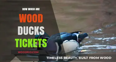Exploring Wood Ducks Ticket Prices: A Comprehensive Guide