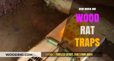 Effective Wood Rat Traps: A Cost-Benefit Analysis for Homeowners