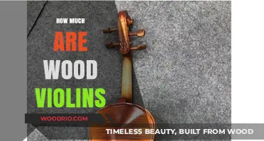 Exploring the Cost Spectrum of Wooden Violins: A Comprehensive Guide