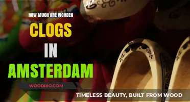Exploring Amsterdam: The Cost of Traditional Wooden Clogs