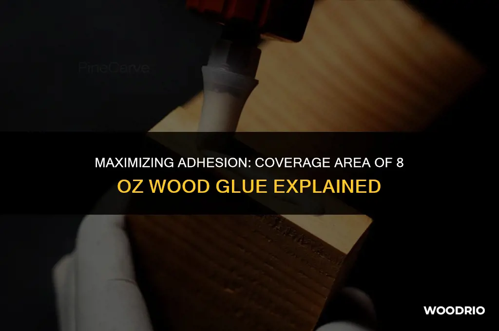 how much area will 8 oz of wood glue cover