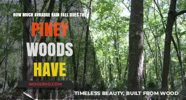 Exploring the Piney Woods: A Guide to Average Rainfall