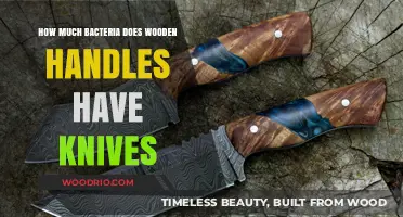 Unveiling the Hidden Dangers: Bacteria on Wooden Knife Handles