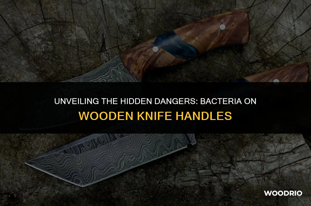 how much bacteria does wooden handles have knives