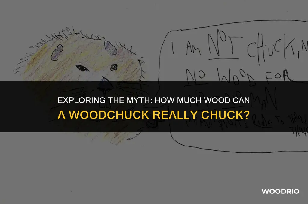 how much can a woodchuck chuck woodchuck chuck wood